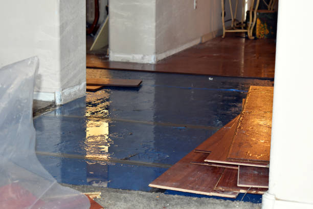 Professional Basement Flood Cleanup technician working in Hilltop, MN
